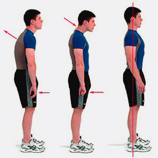 Postura corporal